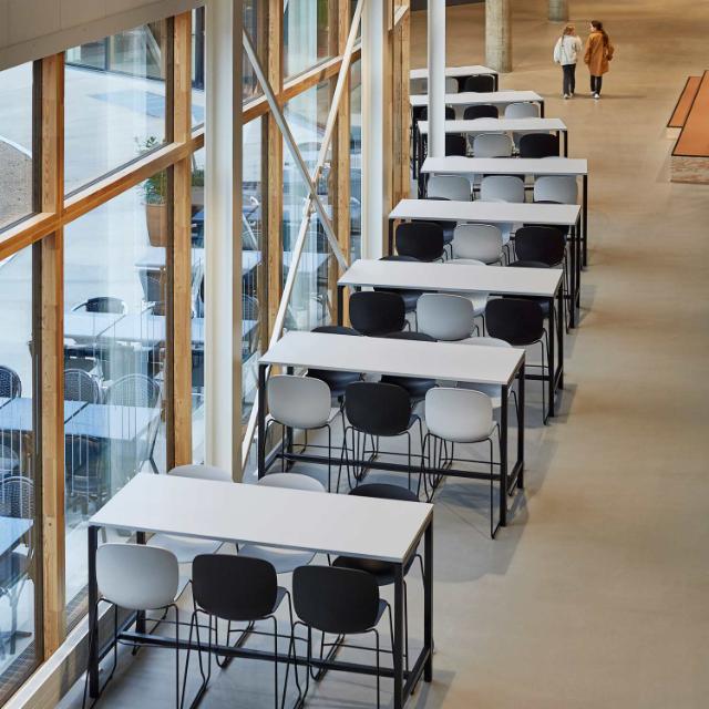 Indretning af loungeområde og indgangsområde i sportshal
