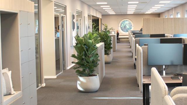 Åbent kontormiljø indrettet med varme farver og grønne planter