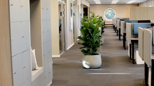 Skab struktur og overblik med en garderobe løsning med lockerskabe med nummerering