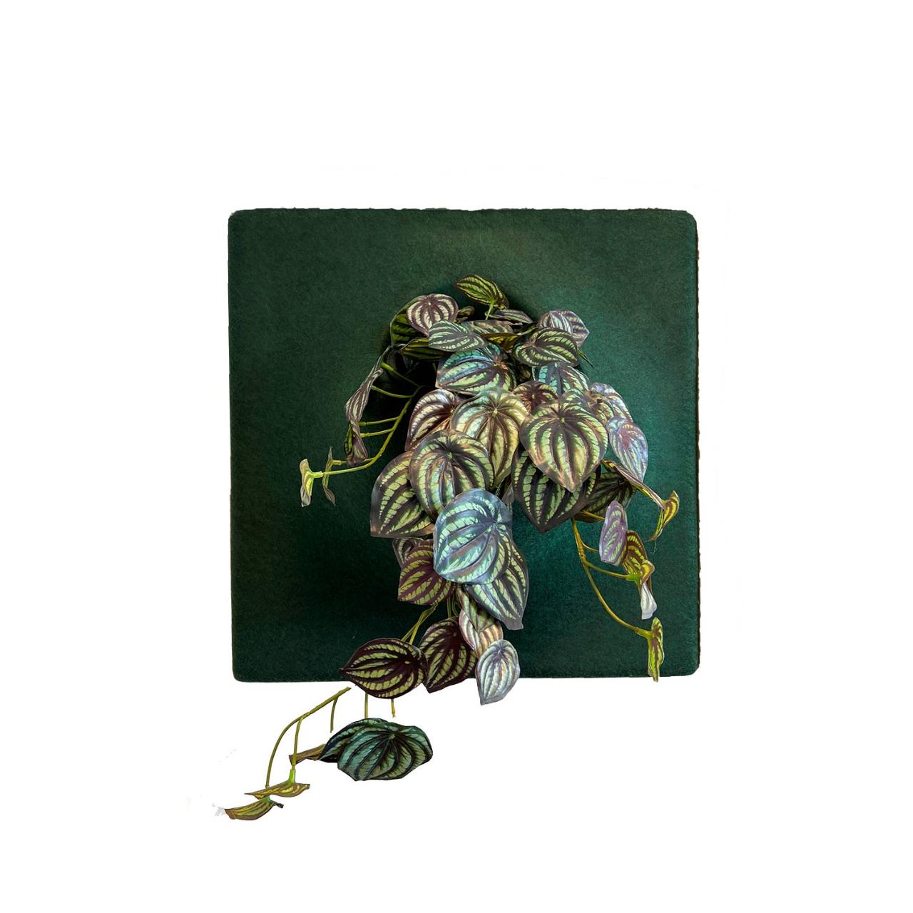 Akustik vægpanel, moss green inkl. plante