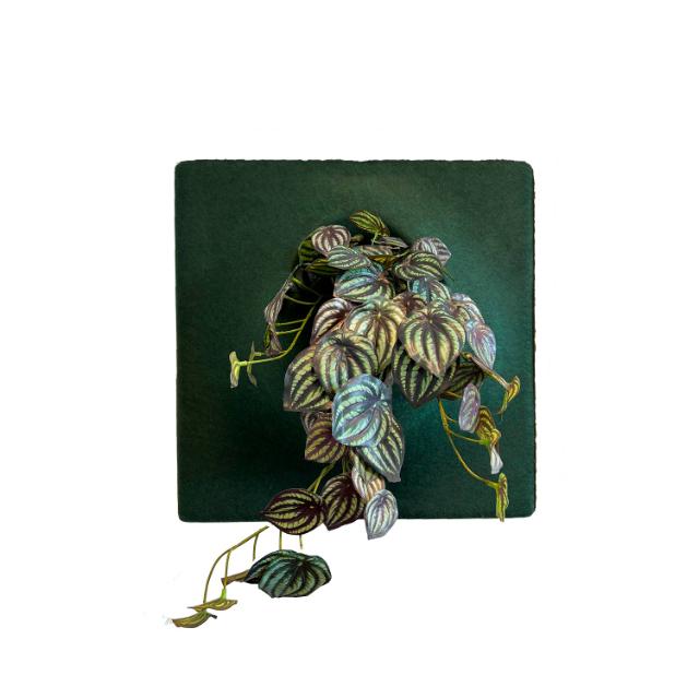 Akustik vægpanel, moss green inkl. plante